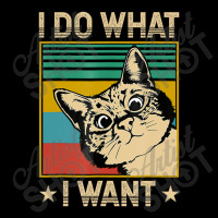 Vintage Cat I Do What I Want Cat Cat Lover Long Sleeve Shirts | Artistshot