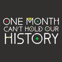 One Month Cant Hold Our History African Pride Black History T Shirt Champion Hoodie | Artistshot