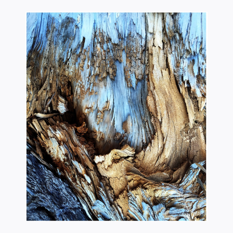 Tree Wood Texture   Abstract Pattern T-shirt | Artistshot