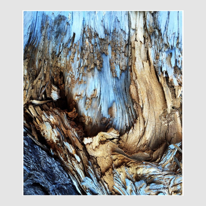 Tree Wood Texture   Abstract Pattern Exclusive T-shirt | Artistshot