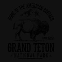 Limited Edition Home Of The American Buffalo Grand Teton National Park Graphic T-shirt | Artistshot