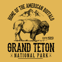 Limited Edition Home Of The American Buffalo Grand Teton National Park Vintage Hoodie And Short Set | Artistshot