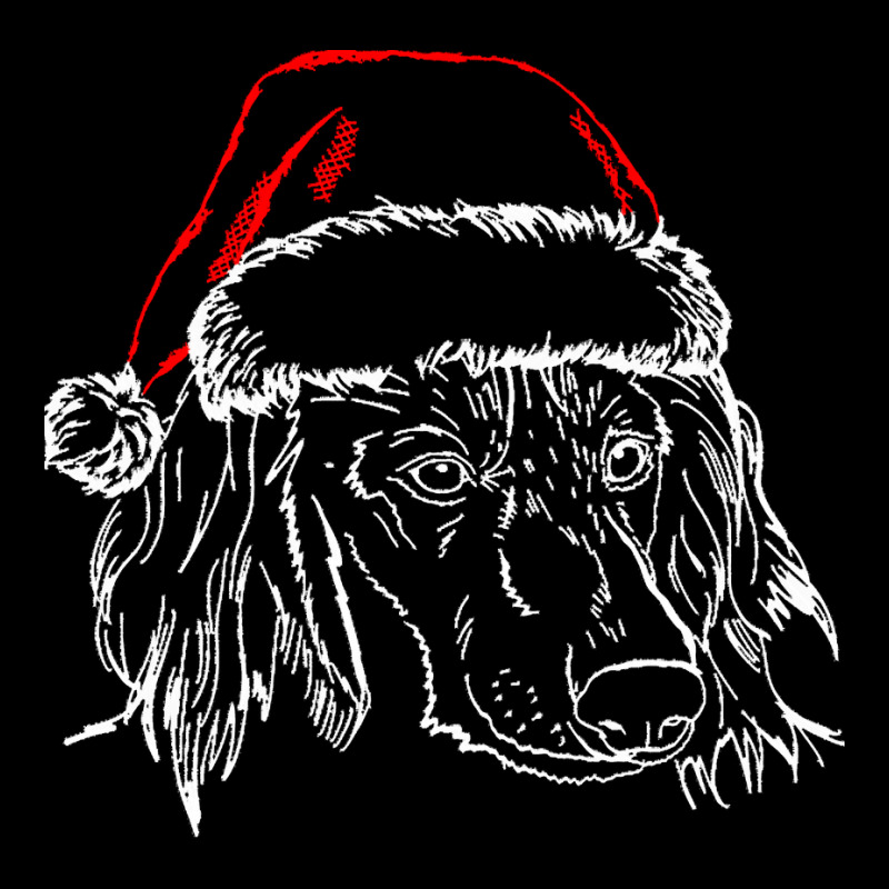 Dachshund Long Hair T  Shirt Long Haired Dachshund Dog With Santa Hat Long Sleeve Shirts | Artistshot