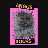 Angus Rocks Graphic T-shirt | Artistshot