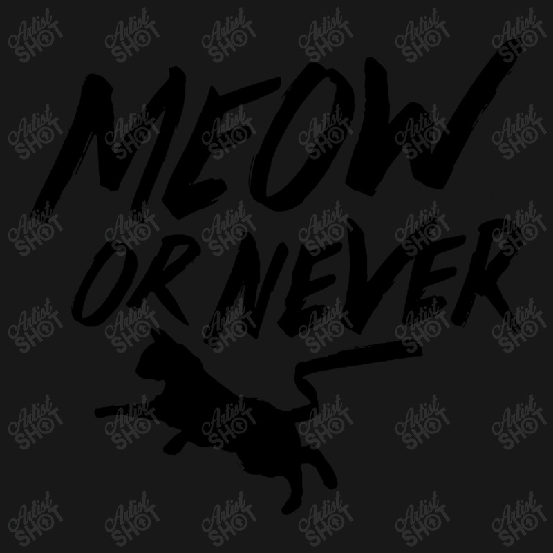 Meow Or Never Flannel Shirt | Artistshot