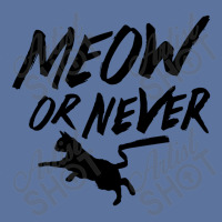 Meow Or Never Lightweight Hoodie | Artistshot