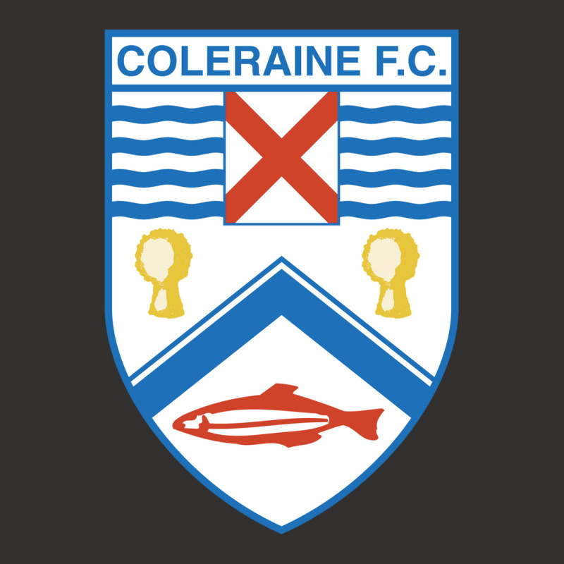 Coleraine Fc Champion Hoodie | Artistshot