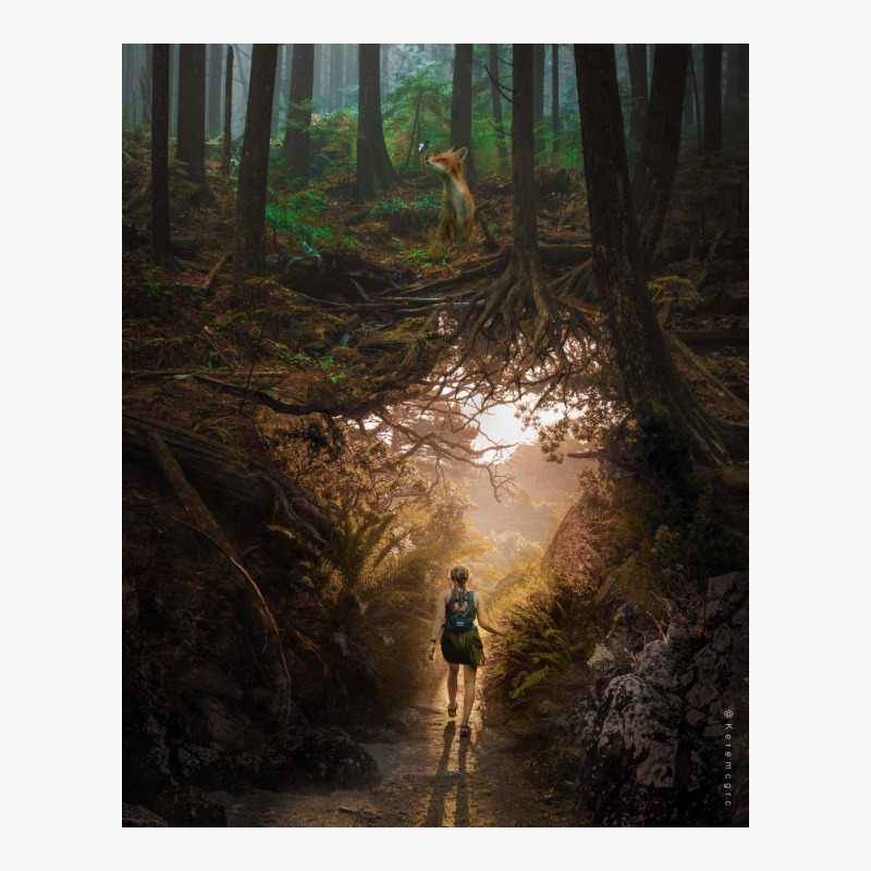 Forest Ladies Fitted T-Shirt by keremcgrc | Artistshot