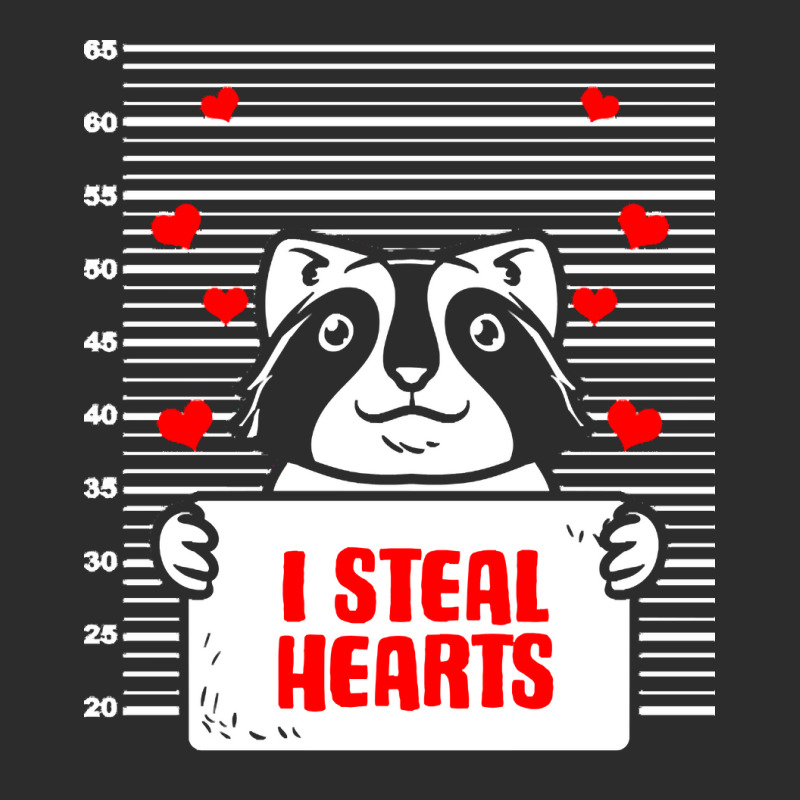 Raccoon Lover T  Shirt Raccoon Valentine Love Lover Heart Valentines D Exclusive T-shirt by stammivy480 | Artistshot