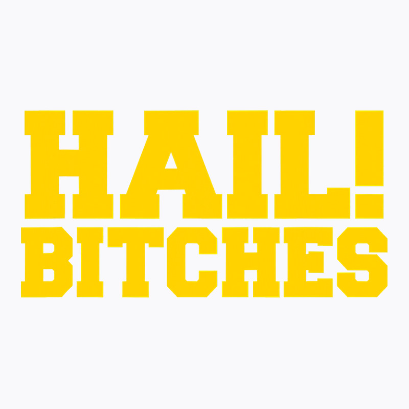 State Of Michigan Hail Bitches  Ann Arbor Mi Fun Adult T-shirt | Artistshot