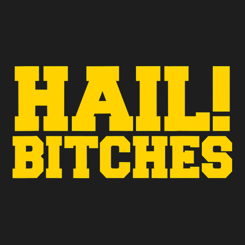 State Of Michigan Hail Bitches  Ann Arbor Mi Fun Adult Classic T-shirt | Artistshot