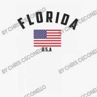 Florida Ladies Fitted T-shirt | Artistshot