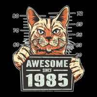 Awesome Since 1985 Cat Vintage 37th Birthday Lightweight Hoodie | Artistshot