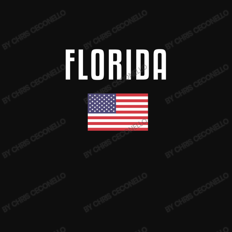 Florida Crop Top by Chris Ceconello | Artistshot