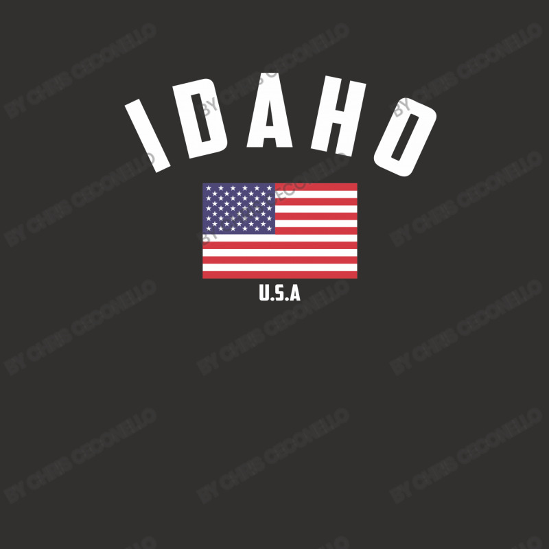 Idaho Champion Hoodie by Chris Ceconello | Artistshot