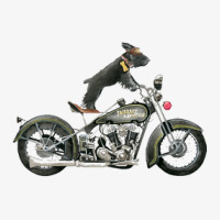 Black Schnauzer On Motorcycle Ladies Fitted T-shirt | Artistshot