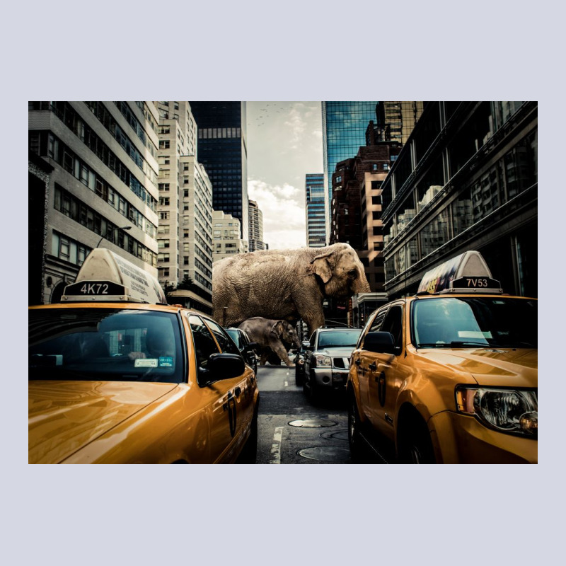 Huge Elephant Fleece Short | Artistshot