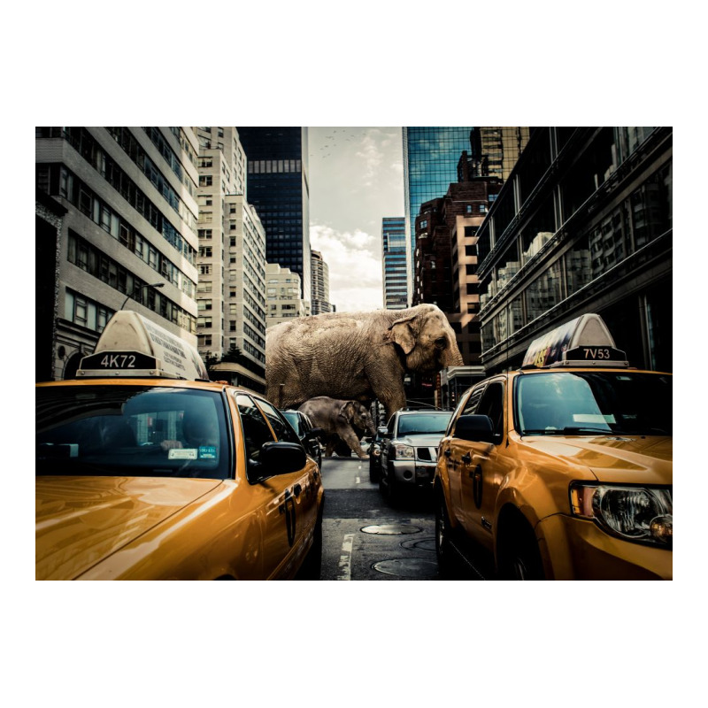 Huge Elephant Unisex Hoodie | Artistshot