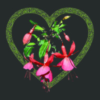 Fuchsia Blossoms On A Branch With A Heart Women's Triblend Scoop T-shirt | Artistshot