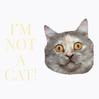Im Not A Cat T-shirt | Artistshot