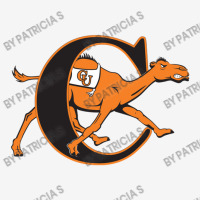 Fighting Camels Youth 3/4 Sleeve | Artistshot