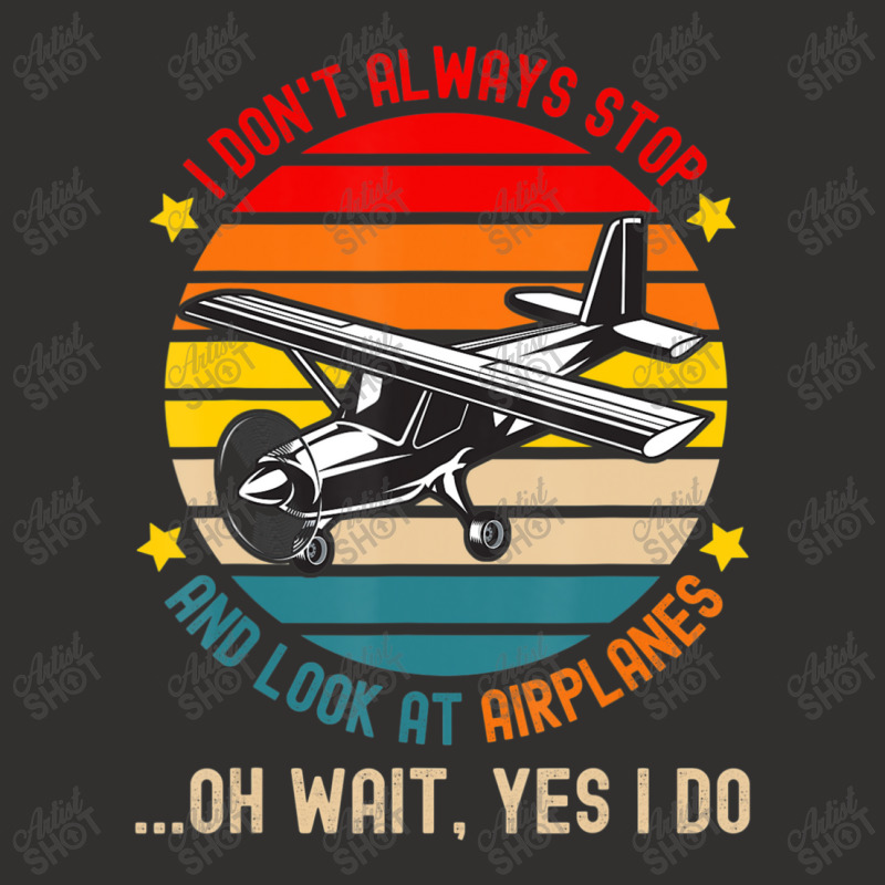 I Don't Always Stop And Look At Airplanes Champion Hoodie | Artistshot