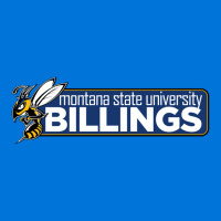 The Montana Billings Yellowjackets Edu Full Set Car Mats | Artistshot