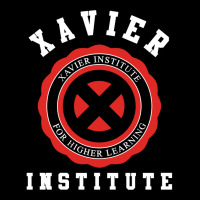 Xavier Institute 1 Lightweight Hoodie | Artistshot