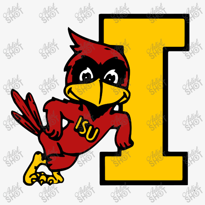 Cyclones Iowa State Champion Hoodie | Artistshot