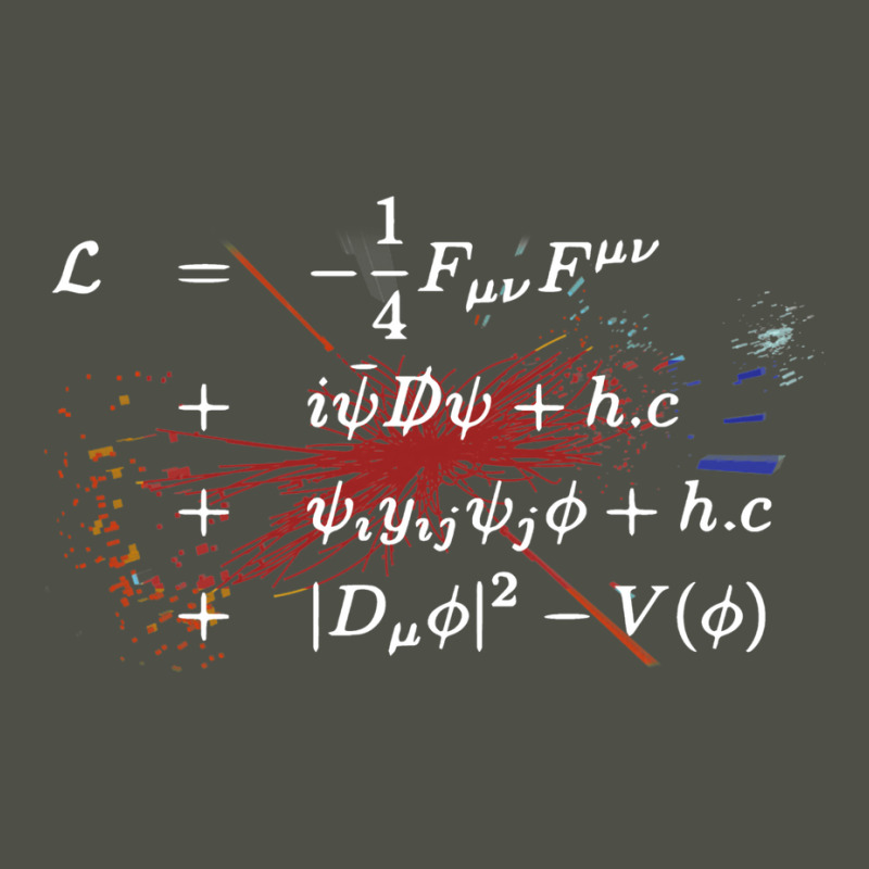 Theoretical Physics Equations   Standard Model Hig Fleece Short | Artistshot