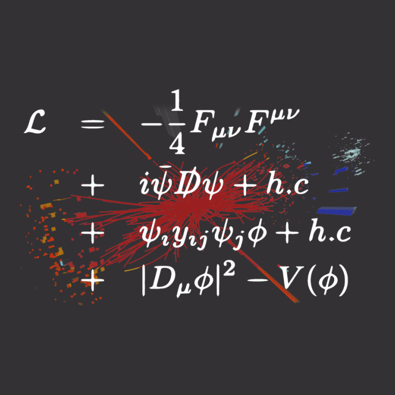 Theoretical Physics Equations   Standard Model Hig Vintage Hoodie And Short Set | Artistshot