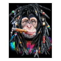 Chimpanzee With Colorful Dreadlocks 3/4 Sleeve Shirt | Artistshot