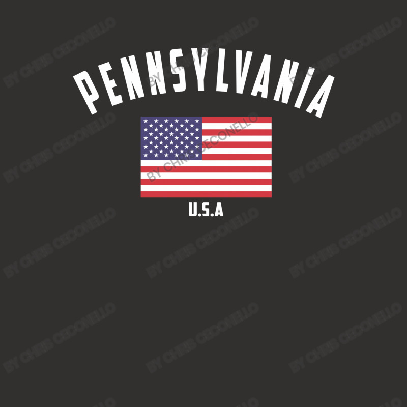 Pennsylvania Champion Hoodie by Chris Ceconello | Artistshot