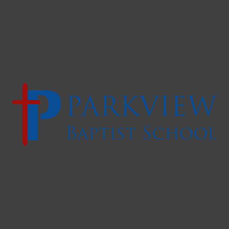 Parkview Baptist High School Vintage T-Shirt by TabithaTaylor | Artistshot