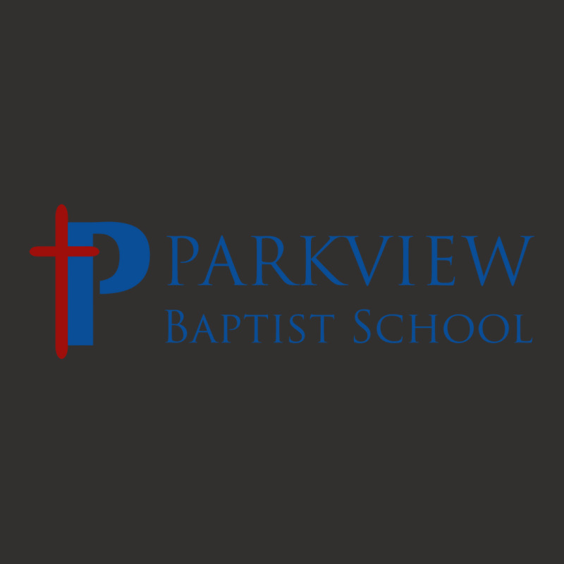 Parkview Baptist High School Champion Hoodie by TabithaTaylor | Artistshot