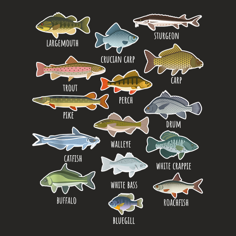 Types Of Freshwater Fish Species Fishing T Shirt Ladies Fitted T-Shirt by corindu | Artistshot