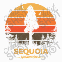 Sequoia National Park Retro Vintage Souvenir Gift Coffee Mug | Artistshot