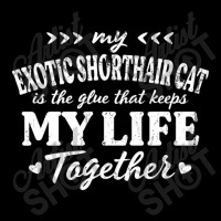 Exotic Shorthair Cat Keeps My Life Together Cat Mo V-neck Tee | Artistshot