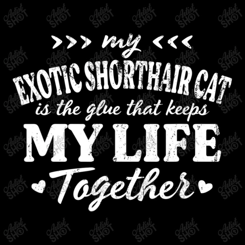 Exotic Shorthair Cat Keeps My Life Together Cat Mo V-Neck Tee by spannmargarettrgy | Artistshot