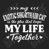 Exotic Shorthair Cat Keeps My Life Together Cat Mo 3/4 Sleeve Shirt | Artistshot