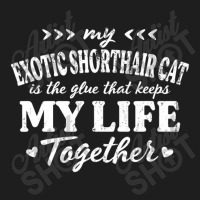 Exotic Shorthair Cat Keeps My Life Together Cat Mo Classic T-shirt | Artistshot