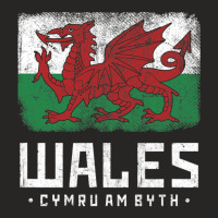 Wales Flag Welsh Dragon Banner Cymru Am Byth Welsh Ladies Fitted T-shirt | Artistshot