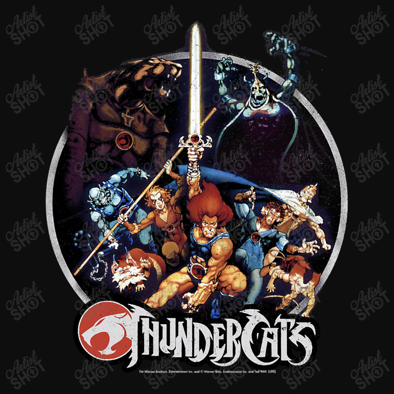 Thundercats Group Shot Vintage Circle Crop Top by home12 | Artistshot