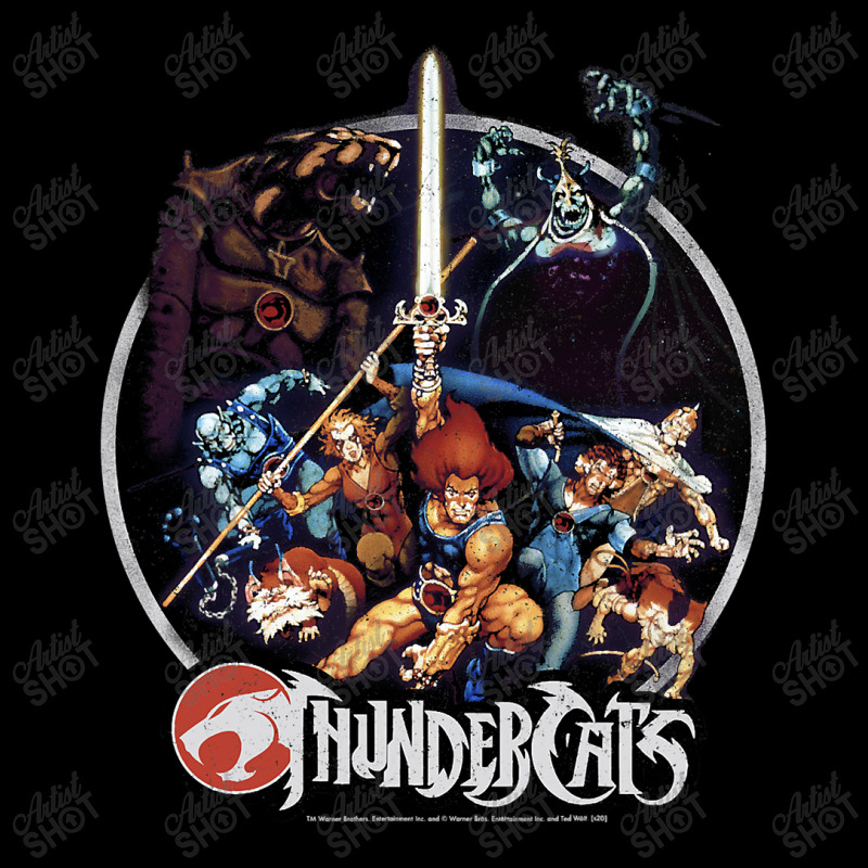 Thundercats Group Shot Vintage Circle Cropped Hoodie by home12 | Artistshot