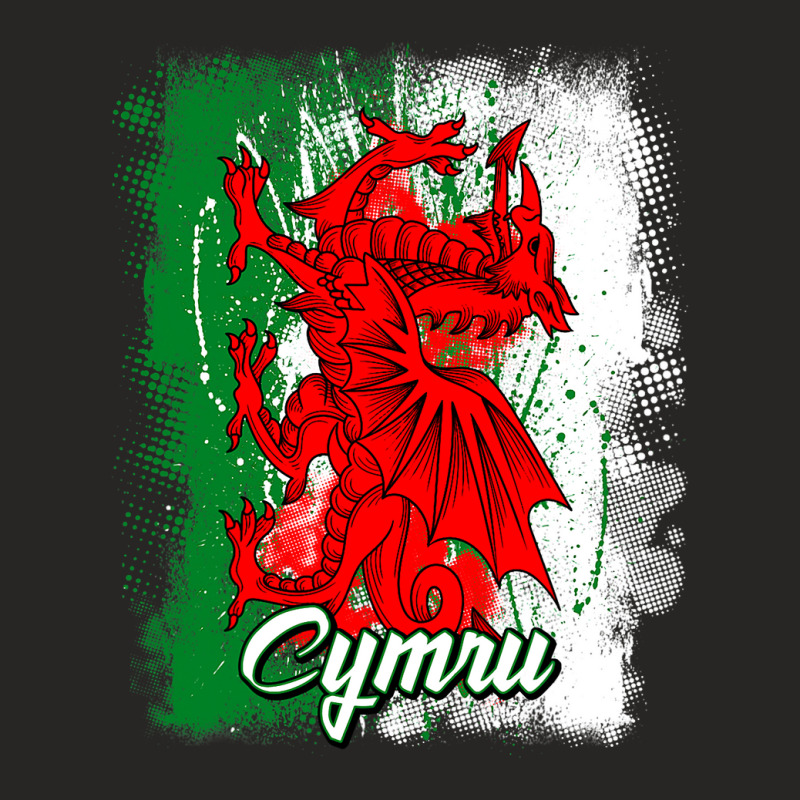 Wales Dragon National Symbol With The Welsh Flag C Ladies Fitted T-Shirt by whoretacarpal | Artistshot