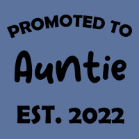 Promoted To Auntie Est 2022 Funny Lightweight Hoodie | Artistshot