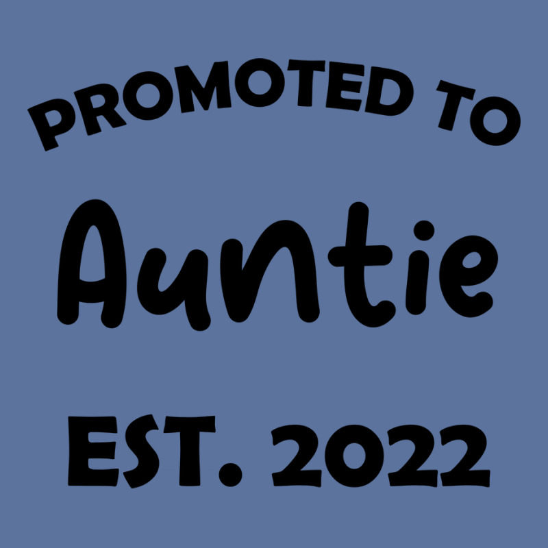 Promoted To Auntie Est 2022 Funny Lightweight Hoodie | Artistshot