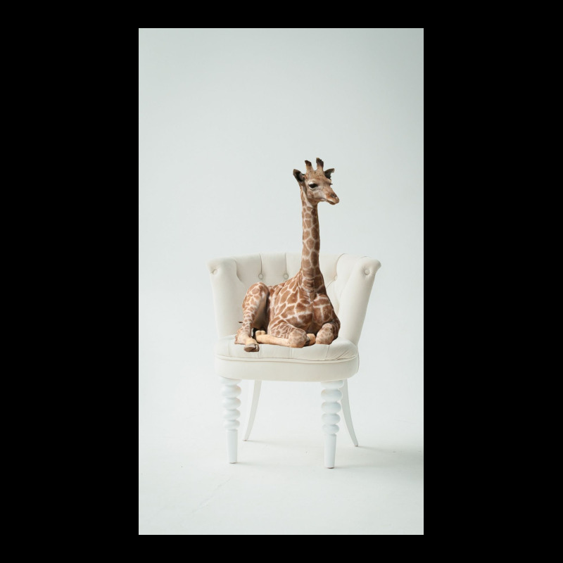 Giraffe Cropped Sweater | Artistshot