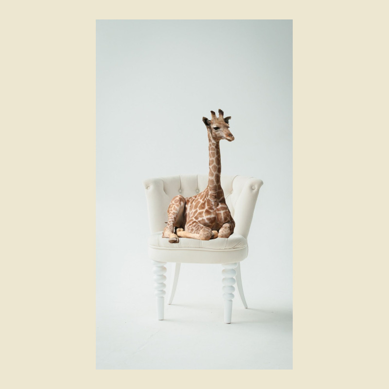 Giraffe Cropped Hoodie | Artistshot