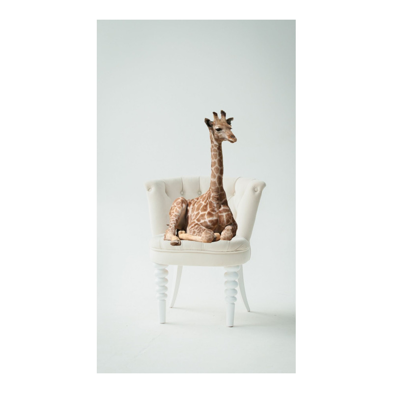 Giraffe Women's Pajamas Set | Artistshot